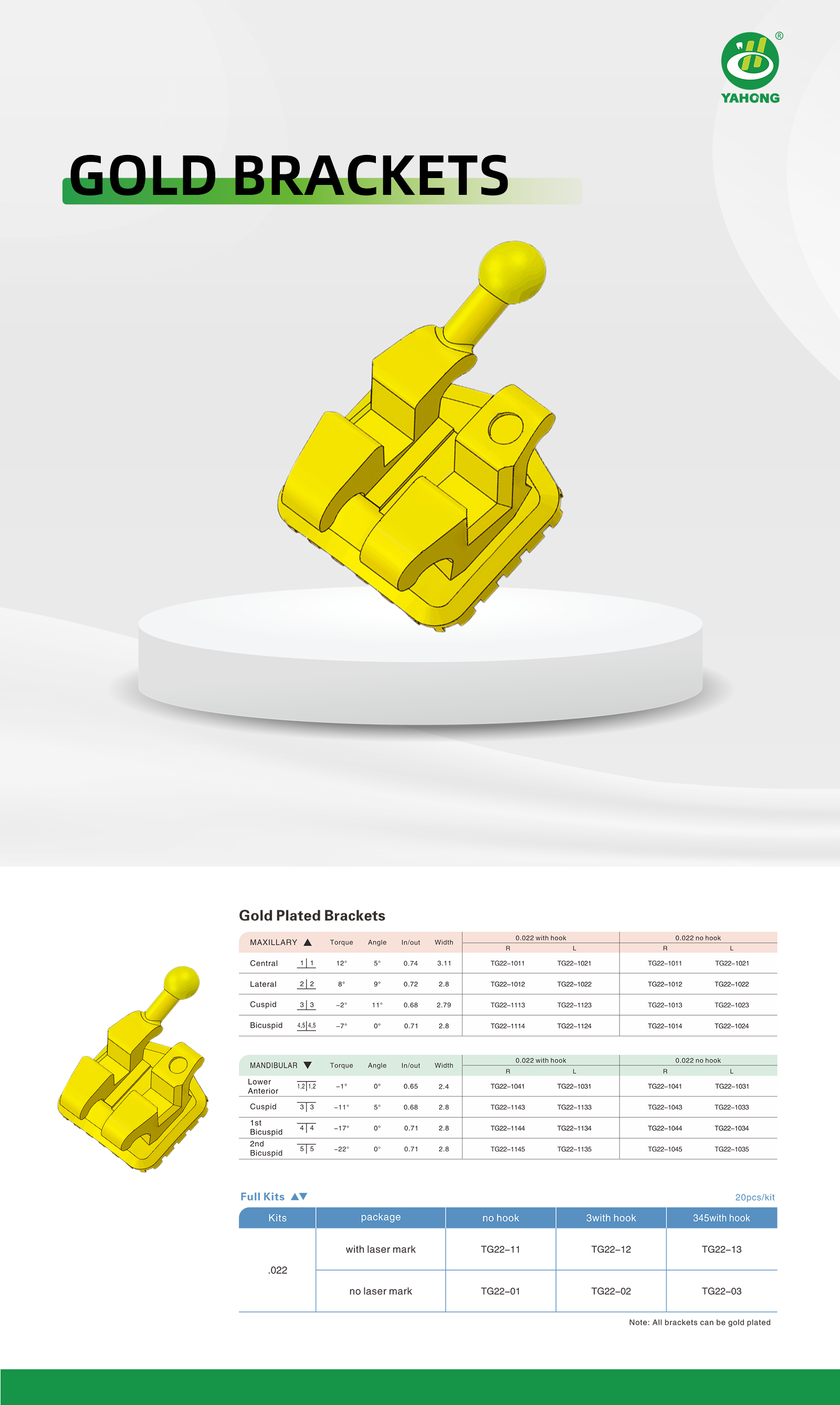 外贸Gold Brackets托槽详情页.png